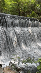 Witnesses document waterfall and flower pathway in Cuernavaca