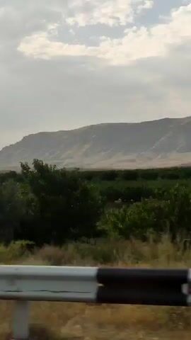 This is a short video taken from a moving vehicle, showing a landscape. In the foreground, there is a white guardrail with black stripes. Beyond the guardrail, there is dry grass and some vegetation. In the middle ground, there is a field of green trees, possibly an orchard or a forest. Further in the background, there are rolling hills or mountains with a dry, sandy appearance. The sky is partly cloudy. The video appears to be taken during the daytime. There are no people or specific actions visible in the video.