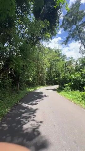 The video shows a paved road winding through a tropical area. The road surface is gray and shows some wear.  Trees and dense green vegetation line both sides of the road, casting shadows across the pavement. The sky is blue with scattered white clouds. Some power lines are visible along the right side of the road. The camera is moving forward along the road. At one point a finger partially obscures the bottom of the frame.