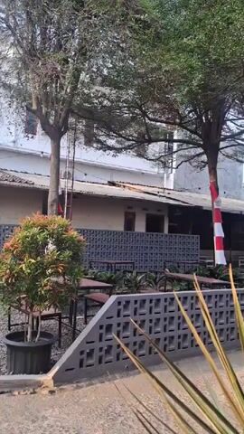 A video pans across an outdoor seating area with trees and plants. In the foreground, there is a decorative concrete wall with a geometric pattern. Behind the wall, there are tables and chairs set up for outdoor dining. Trees with green foliage are spaced throughout the area, and several trees are decorated with red and white striped ribbons, possibly indicating a celebration or holiday. In the background, a building with white walls and a dark roof is visible. The overall impression is of a well-maintained outdoor space, likely a cafe or restaurant, prepared for patrons.