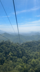Cable car passenger films forest vista near Đà Nẵng
