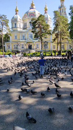 Everyday life captured around Almaty's cathedral and war memorials