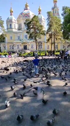 Everyday life captured around Almaty's cathedral and war memorials
