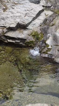 Rural South Korean park walk documented by witness