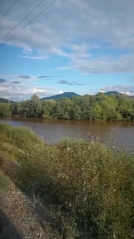 This is a wide shot of a brown river flowing past a wooded area. The river is surrounded by green trees and bushes. In the distance, there are rolling hills or mountains. The sky is blue with scattered white clouds. The camera appears to be moving, possibly from a vehicle, as suggested by the slight blur and the presence of what looks like a power line or overhead wire in the upper left corner of the frame. The lighting indicates it is daytime, likely afternoon due to the bright sun. There are no people or distinct objects visible in the river or on the banks.