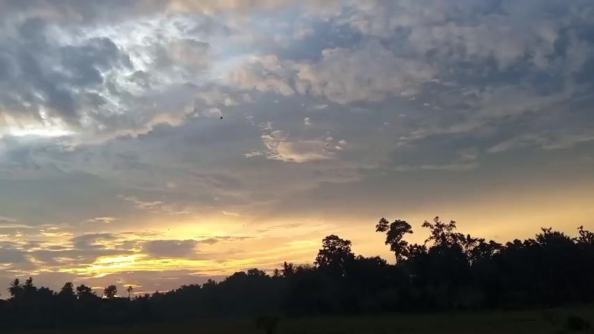 The video shows a landscape at sunset. A field stretches out in the foreground, with a line of trees silhouetted against the horizon. The sky is filled with clouds, reflecting the orange and yellow light of the setting sun. The clouds are a mix of gray, white, and blue, creating a textured and dynamic skyscape. The light casts a warm glow over the scene, emphasizing the natural beauty of the landscape.