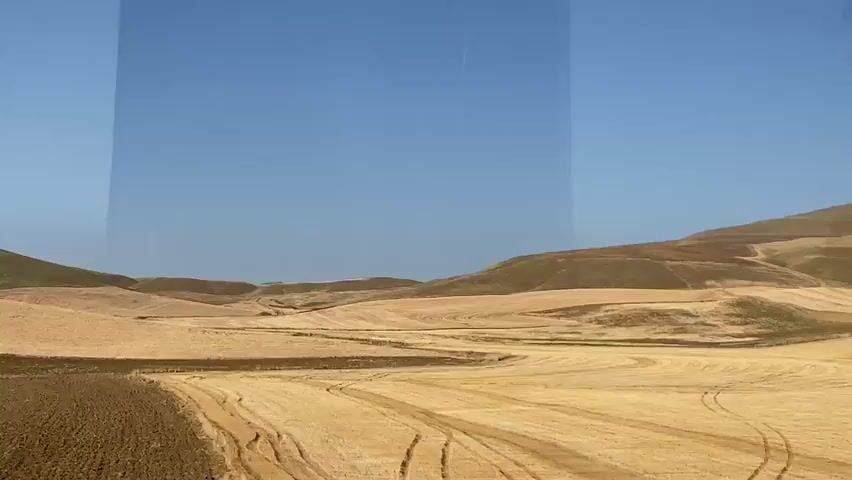 The video shows a wide, panoramic view of a dry, agricultural landscape under a clear blue sky. The land is rolling, with hills in the background and cultivated fields in the foreground. Some fields appear to be recently plowed, showing dark brown soil, while others are covered in dry, golden stubble, suggesting a recent harvest. There are tire tracks visible in the stubble fields, indicating the use of agricultural machinery. In the distance, a faint white line, possibly a contrail from an aircraft, is visible in the sky. The overall impression is one of vastness and a somewhat arid, rural environment. There are no people or animals visible in the video. The camera appears to be moving, possibly from a vehicle, as suggested by the slight blurring and changing perspective. There are some indistinct reflections or smudges on the lens in the upper left quadrant of the frame.