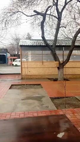 The video shows an outdoor patio. It is raining and the bricks are wet. A leafless tree grows from a planting area in the patio, through a white metal pergola-like structure. Beyond the patio is a building with large windows. A white van is seen passing on the street. The person filming walks under the pergola-like structure while filming. A person in a brown jacket is seen passing the camera on the right side of the frame.
