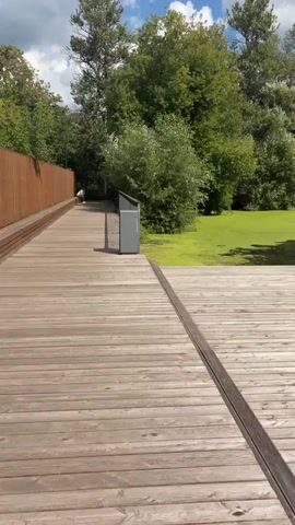 The video shows a wooden boardwalk in a park setting. On the left side of the boardwalk, there is a wooden fence and a bench. Further down the boardwalk, a person is visible walking. The boardwalk leads to a body of water covered in bright green algae. Trees with green foliage surround the water. The sky is blue with some clouds.