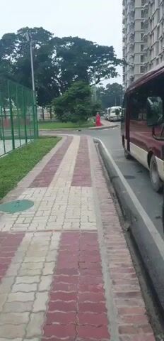 The video shows a pedestrian walkway with red and white patterned pavers. To the left is a green fenced area with grass and trees. To the right is a street with a red and white bus parked along the curb, and a tall building in the background. A person in a red outfit is walking away from the camera in the distance. Another person is standing near the bus, facing the camera, and appears to be holding their hand up. The sky is overcast.