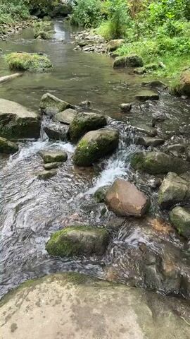 A clear stream flows over moss-covered rocks. The water is shallow and appears to be in a forest setting with greenery on the banks. The camera is positioned above the water, looking downstream. The light suggests it is daytime.
