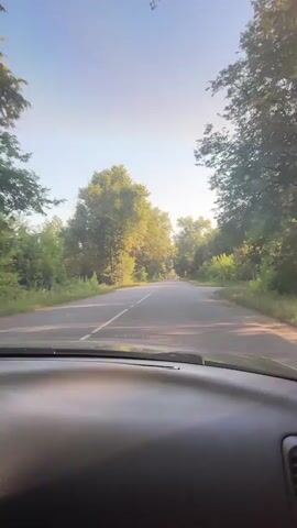 The video is a first-person perspective from inside a car driving on a paved road. The road is lined with tall green trees on both sides. The sun is shining brightly, casting dappled light on the road and trees. The sky is a clear blue. The dashboard of the car is visible in the foreground. The car is moving forward at a steady pace. There is another car visible in the distance on the same road, traveling in the same direction. The overall impression is a scenic drive through a wooded area on a clear day.