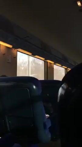 The video shows the interior of a train car during the day. The view is from behind a blue seat, facing towards the windows. Outside the windows, the scenery is a blur of trees and landscape, passing by quickly as the train moves. The lighting inside the train car alternates between bright and dark as the train passes through different areas. There are overhead lights illuminated in the train car. The overall tone is ordinary and observational, capturing a moment of travel on a train.