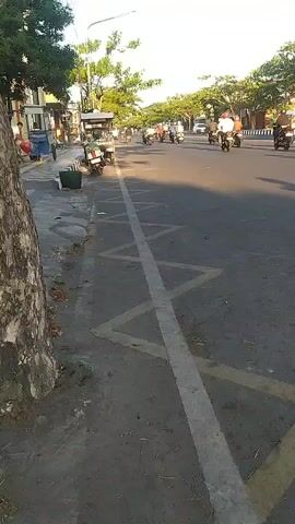 A paved road runs through a street lined with trees and buildings. A large tree trunk is visible on the left side of the frame, and a sidewalk runs alongside it. The road is marked with white lines, including a dashed line that runs down the center and yellow markings that form a zig-zag pattern. Several motorcycles are driving on the road, and a few people are walking on the sidewalk. The scene appears to be a busy urban environment during the daytime.