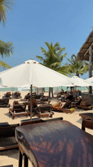 Morning beach scene captured at Sao Beach Bar, Phú Quốc