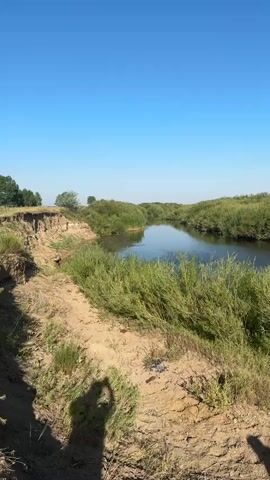 This is a vertical, outdoors video shot in daylight under a clear blue sky. The scene depicts a natural landscape with a river or stream flowing through a valley. The riverbanks are lined with lush green vegetation, appearing somewhat overgrown. On the left side of the frame, a steep, eroded dirt bank is visible, with sparse dry grass growing on its surface. The terrain suggests a rural or natural environment. In the foreground, there are shadows of two people, likely the videographer and another individual, cast on the sandy, somewhat uneven ground. Their hands are visible in the shadows, suggesting they are holding a camera or phone and possibly adjusting it. The river itself is calm and reflects the sky. The overall impression is of a serene, natural setting on a sunny day.