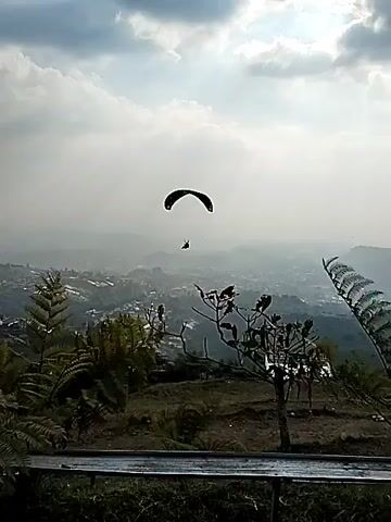 A person is paragliding over a hazy landscape of hills and a small town. The paraglider is dark colored and is suspended in the air. The person is visible in a harness below the paraglider. The foreground is filled with foliage, including ferns and some bare branches. The sky is cloudy. The video is a still shot.