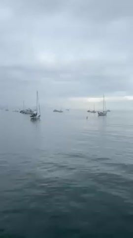 The video shows a calm body of water with several boats anchored. The sky is overcast, and the water is mostly still with slight ripples. There are about a dozen boats visible, including several sailboats. In the distance, near the center of the frame, a person is swimming in the water.