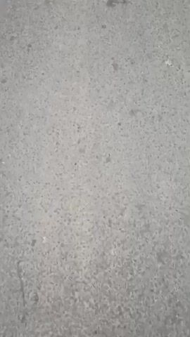 The video shows a paved road lined with trees and flags. There are houses and some people on the side of the road. The sky is overcast and it appears to be either early morning or late afternoon. The video seems to be shot from a moving vehicle. There are speed limit signs visible on the road, indicating a speed limit of 30.