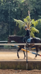 Morning horse riding activities observed at Indonesian equestrian facility