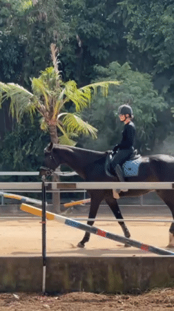 Morning horse riding activities observed at Indonesian equestrian facility