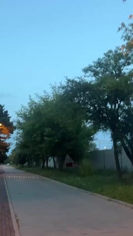 A person's point-of-view video shows a paved road and sidewalk lined with trees. The sky is a pale blue, indicating dusk or dawn. The road has painted white lines and appears to be empty of vehicles. The sidewalk is made of red bricks. A concrete fence is visible on the right side of the road, and there are some bushes and trees behind it. There are also some lights visible in the distance, possibly streetlights. The video is shot in a vertical orientation.
