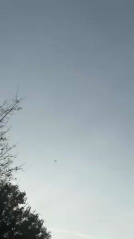 The video shows a view looking up towards a light gray sky. A small, indistinct object, likely an aircraft, is visible in the distance. In the lower left corner of the frame, there are silhouetted tree branches and foliage, providing a static foreground element. The video is stable, with no apparent camera movement. The overall lighting is subdued, contributing to a somewhat muted color palette.