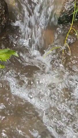 A close-up, top-down shot shows water flowing over rocks and into a body of water. There are green leaves and blades of grass visible on the left and right sides of the frame, respectively. The water is churning and creating ripples as it falls. The overall impression is one of natural beauty and the movement of water.