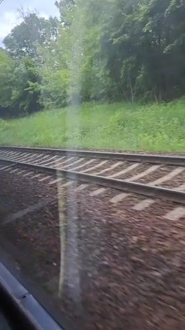 A video shows a view from inside a moving train. The train tracks are visible in the foreground. Lush green trees and grass line the side of the tracks. A white building with a darker roof is visible in the background. The sky is overcast. The video shows a continuous perspective from the train as it travels along the tracks.