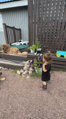 Backyard afternoon in Kempelevo: kid, two dogs, a kitten