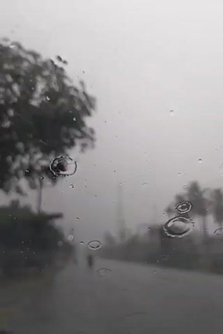 A blurry, overcast view from inside a vehicle looking out through a rain-streaked windshield. Raindrops obscure the view of a road, trees lining the sides, and utility poles. In the distance, a few structures are visible, and a hint of red light suggests other vehicles. The windshield wipers are intermittently activated, sweeping across the glass. The overall impression is one of poor visibility due to heavy rain.