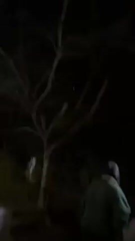 The video shows a dark outdoor scene at night with a leafless tree in the foreground. A bright light, possibly a star or a light source, is briefly visible between the tree branches. A person wearing a jacket and hat is visible to the right of the frame, near the bottom. The camera zooms in slightly and focuses on the branches of the tree as the person speaks in the background.