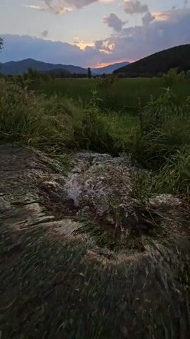 The video shows a small stream flowing over rocks and vegetation, with a field and mountains in the background. The sky is partially cloudy, with a sunset visible between the mountains.  The stream appears shallow and is moving quickly. Tall grass and some other green vegetation are growing near the water.  The light is dim due to the sunset.