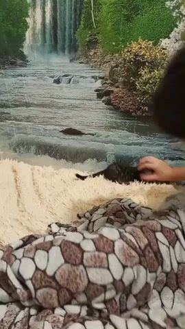 A person with dark hair is partially visible on the right side of the frame, petting a small black cat. The cat is lying on a fluffy cream-colored blanket, which is draped over a patterned blanket. The background features a wallpaper depicting a waterfall and trees. The overall scene appears to be indoors, likely on a bed or couch.