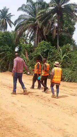 Four men are seen walking along a reddish-brown dirt road, which appears to be under construction or recently graded, indicated by fresh earth and tire tracks. The road is flanked on both sides by dense tropical vegetation, featuring numerous palm trees and other lush green foliage.

One man, leading the group, is dressed in a red and white plaid long-sleeved shirt and blue jeans. Behind him, three other men are walking. All three are wearing bright orange safety vests over their clothing; one of them also wears a light-colored straw hat. Some of the men in safety vests appear to be carrying small items or tools. The man in the middle, wearing an orange vest, has a small blue object in his hand and a bag slung over his shoulder.

The scene suggests a daytime setting with bright, clear weather. The overall environment indicates a rural or semi-rural area, consistent with the tropical landscape of Aloko, Nigeria. The men appear to be engaged in a work-related activity, possibly surveying or inspecting the road construction. No discernible text is visible on their clothing or any objects.