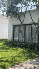 Overnight memories capture resort property with white buildings, palm trees
