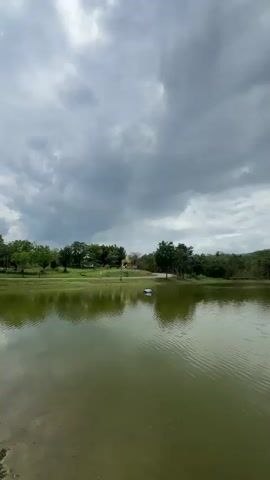 The video shows a landscape with a body of water, trees, and mountains under a cloudy sky. The water appears greenish and has small ripples on the surface. On the far side of the water is a green grassy area with trees and what appears to be a golden statue. Beyond the trees, in the distance, a forested mountain range stretches across the horizon. The sky is overcast with gray clouds.  The overall impression is that of a calm, natural scene under somewhat gloomy weather conditions.