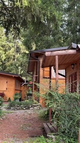 The video shows a cluster of wooden cabins nestled amongst tall evergreen trees. The cabins are made of light-colored wood and have dark roofs. There are plants and flowers growing around the cabins, with some hanging from the eaves and others planted in pots and along pathways. A gravel path winds through the scene. A wooden bench is visible in the foreground. The overall impression is one of a rustic, natural setting.