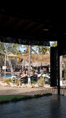 Resort guests perform group exercise routine in Porlamar pool area