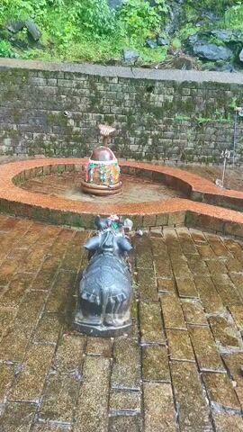 The video shows an outdoor shrine area. In the foreground, a stone sculpture of a bull, possibly Nandi, is positioned on a wet, brick-paved surface. Behind the bull, on a circular, stone-lined platform, sits a large lingam, a representation of the Hindu deity Shiva. The lingam is adorned with colorful fabric and a coiled snake sculpture. The background features a stone retaining wall covered in moss and vegetation, with a rocky, overgrown hillside above it. Water appears to be falling from the hillside, suggesting it is raining or there is a waterfall nearby, and the ground is wet. The overall impression is one of a natural, sacred space.