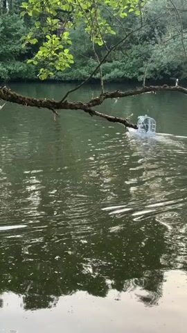 A small, white remote-controlled boat navigates across a calm, green lake. The boat is simple in design, and its movements create small ripples on the water's surface. The scene is framed by a tree branch with green leaves in the foreground, with a dense forest lining the opposite bank of the lake. The lighting suggests either early morning or late afternoon.
