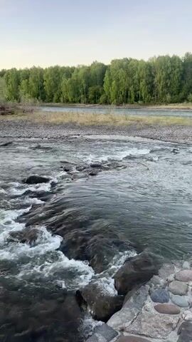 The video shows a fast-flowing river with rocky rapids in the foreground. The river water appears clear and dark. The river is flowing towards the right side of the frame. There's a gravelly or sandy riverbank on the far side of the river, with a line of green trees in the background. The sky is a pale blue. There aren't any people visible in the video. The camera is mostly still, but does move slightly.