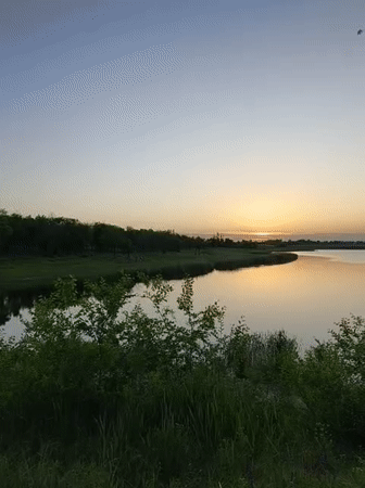 Evening nature photography session captures sunset, wildflowers in Ukrainian village