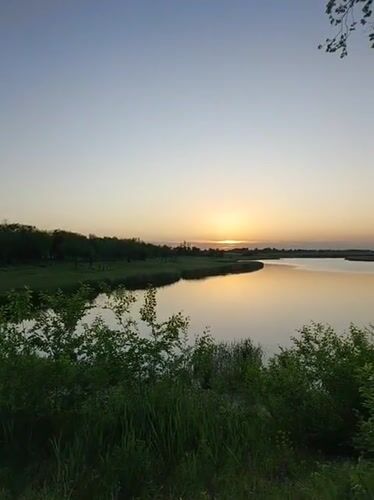 Evening nature photography session captures sunset, wildflowers in Ukrainian village