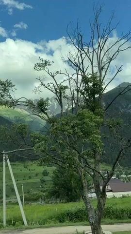 The video is a horizontal, first-person perspective shot from inside a moving vehicle, looking out at a mountain landscape. In the foreground, a white metal railing runs across the bottom of the frame. Beyond the railing is a green grassy area with some yellow flowers and a few scattered structures, including what appears to be a building with a white roof and a blue truck parked nearby. A power line pole with a single crossbar is visible in the midground. The midground and background are dominated by rolling green hills covered in dense evergreen trees, leading up to a majestic mountain range. The peaks of these mountains are partially covered in snow, and the slopes are bathed in sunlight filtering through dramatic, puffy white clouds against a bright blue sky. The camera pans slightly to the left throughout the short clip, offering a continuous view of this scenic vista.