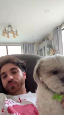 A man is seen sitting on a gray couch while holding a small, fluffy, light-colored dog in his lap. The man has brown hair and a beard. He is wearing a white t-shirt with a red pattern. The dog has a green tag on its collar. The background shows a well-lit living room with a chandelier, windows with gray curtains, and a white cabinet. The man looks at the camera and smiles slightly.