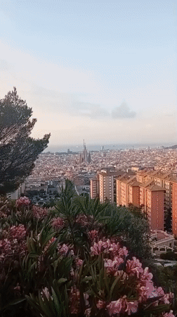 Barcelona skyline at sunset, sea and Sagrada Família in view