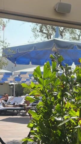The video showcases a picturesque poolside setting, partially framed by lush greenery and structural elements of an establishment. The camera's perspective begins with a view through foliage towards a collection of sunbathers lounging on deck chairs under blue and white umbrellas, with an American flag waving in the background. The camera then pans to reveal a cream-colored column adorned with a gold "D," partially obscured by a sheer white curtain. This column is part of a sheltered area overlooking the pool. The video concludes with a shot of the poolside itself, showcasing a swimming pool with a mosaic mural, bordered by plants and a white building. People are seen near the pool, and the overall impression is one of relaxation and luxury.