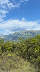 Witness documents Montenegro landscape and solar panels under clear skies