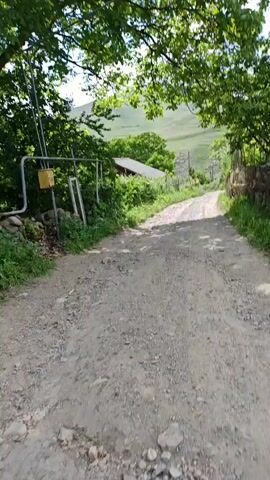 A dirt road is shown, bordered by trees on either side. On the left, a yellow gas meter is mounted on a metal pole. A stone wall runs along the right side of the road. In the distance, a green hill is visible with a building nestled among trees. The sun is shining, and the leaves on the trees are green.